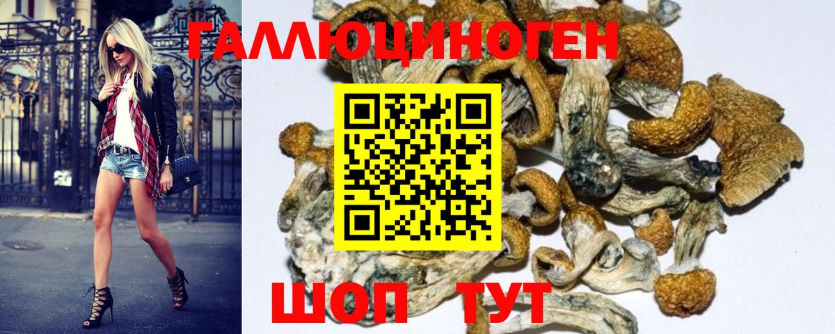 Кисловодск  закладка  Псилоцибиновые грибы Magic Shrooms  Вход с VPN  Галлюциногенные грибы ЛСД 