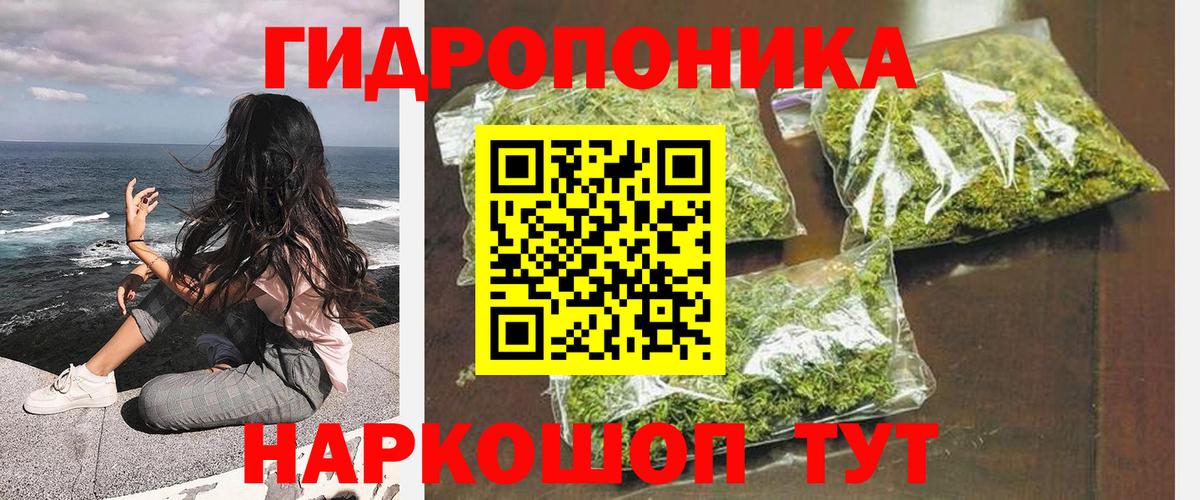 Конопля Amnesia Кисловодск